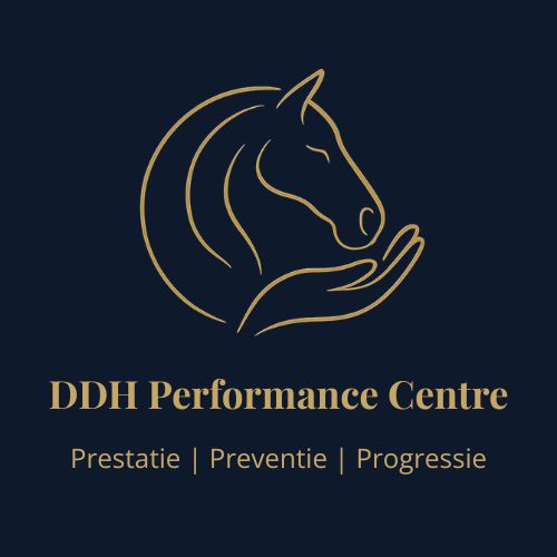 DDH performance centre (1)